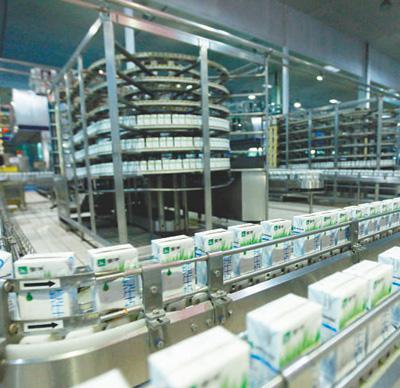 De Productielijnyoghurt van Melkzuurbacteriën Zuivel Productiemateriaal/Machine