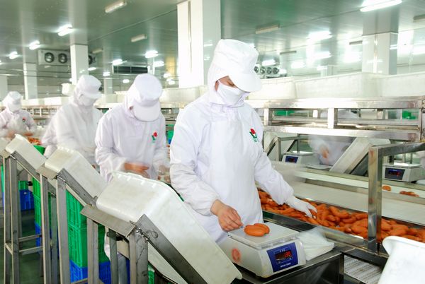 De Productielijn van de hamworst/van de Verwerkingslijn de Verwerkingssysteem van de Hotdogsalami
