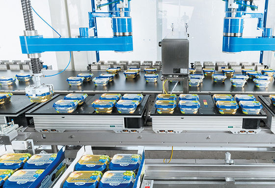 China Het metaalkader kan van het de Machine Volledig Pakket van de Doosverpakking insluiten de Outputplc Controlesysteem leverancier