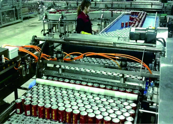 China Duwend van de de Machinekooi van Type Automatisch Palletizer het Laden en lossenmateriaal leverancier
