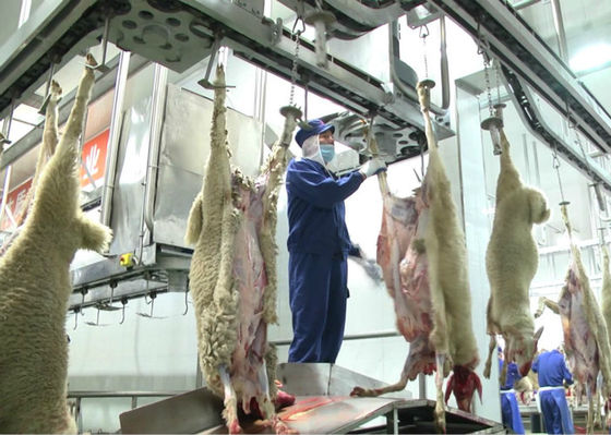 China Productielijn van het lams de Gespleten Vlees, Industriële Productielijn Verdere Verwerking leverancier