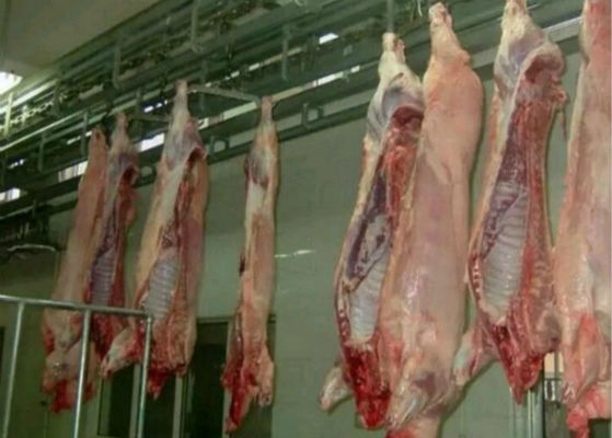 China Van het de Productielijnslachthuis van het varkensvlees Gespleten Vlees van pluimvee het Materiaalplc Controlesysteem  leverancier