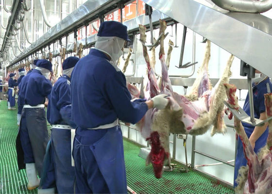 China Slachting die van de het Vleesproductielijn van het geitschaap de Gespleten Geheel Verwerkingstype vervoeren leverancier