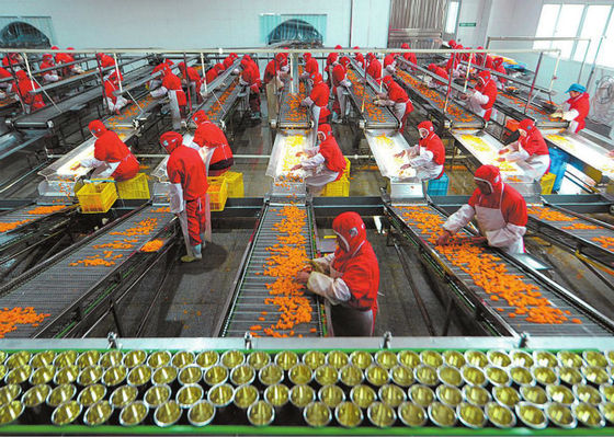 China Plastic Kop Ingeblikt Voedselproductielijn, Fruit en Plantaardige Verwerkingsmateriaal leverancier