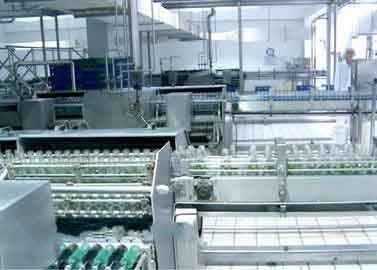 China Glas Gebottelde van de het Materiaalokkernoot/Pinda van de Drankverwerking Melkproductielijn leverancier