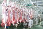 De Productielijn van het rundvlees Gespleten Vlees/van Verwerkingslijn 100-300 Vee per Uursnelheid leverancier