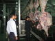 De Productielijn van het rundvlees Gespleten Vlees/van Verwerkingslijn 100-300 Vee per Uursnelheid leverancier