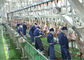 Productielijn van het lams de Gespleten Vlees, Industriële Productielijn Verdere Verwerking leverancier