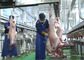 Productielijn van het lams de Gespleten Vlees, Industriële Productielijn Verdere Verwerking leverancier
