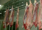 Van het de Productielijnslachthuis van het varkensvlees Gespleten Vlees van pluimvee het Materiaalplc Controlesysteem  leverancier