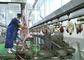 Slachting die van de het Vleesproductielijn van het geitschaap de Gespleten Geheel Verwerkingstype vervoeren leverancier